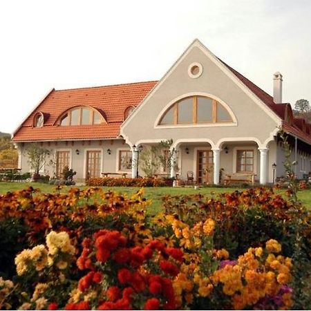 Koczor Winery & Guesthouse Balatonfüred Dış mekan fotoğraf