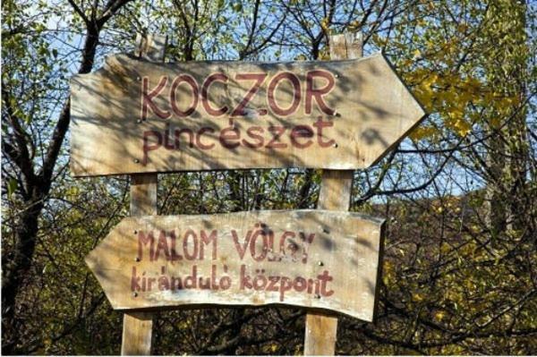 Koczor Winery & Guesthouse Balatonfüred Dış mekan fotoğraf
