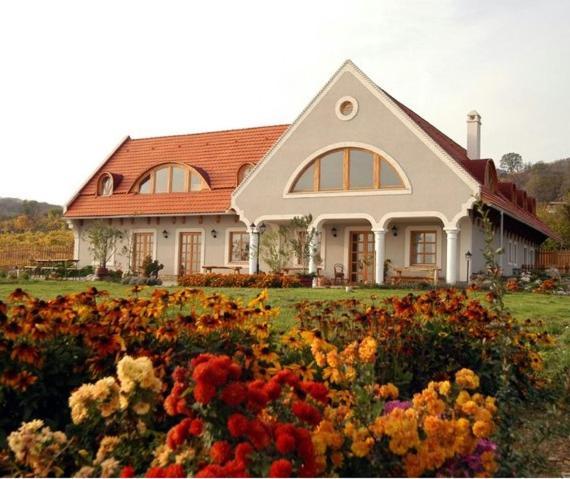 Koczor Winery & Guesthouse Balatonfüred Dış mekan fotoğraf