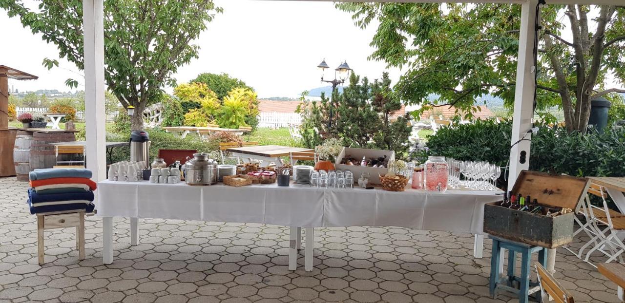 Koczor Winery & Guesthouse Balatonfüred Dış mekan fotoğraf