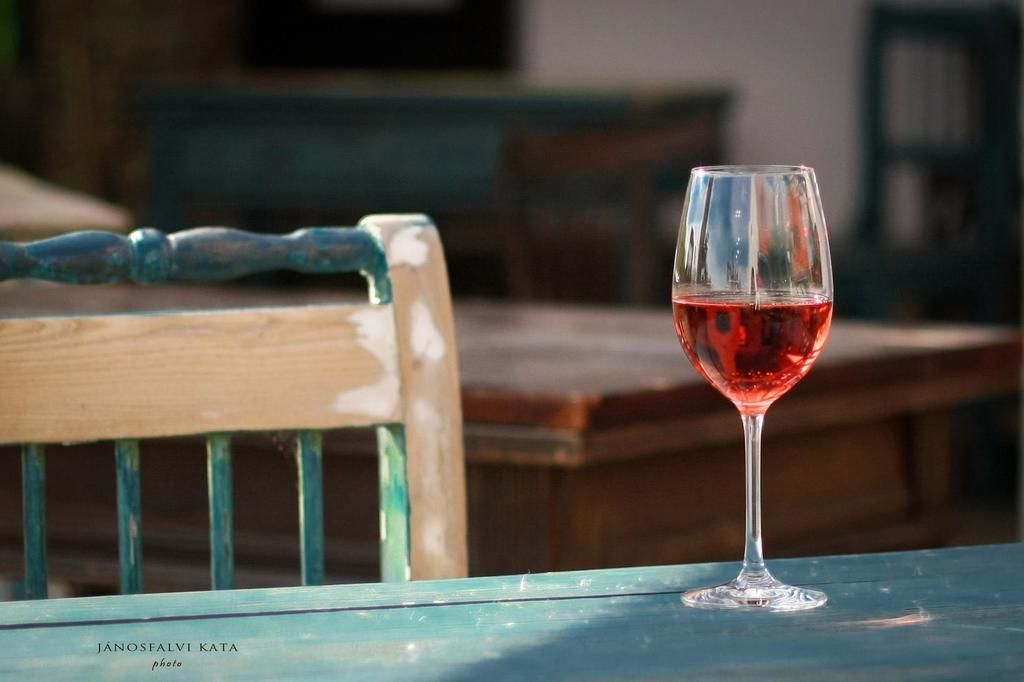 Koczor Winery & Guesthouse Balatonfüred Dış mekan fotoğraf