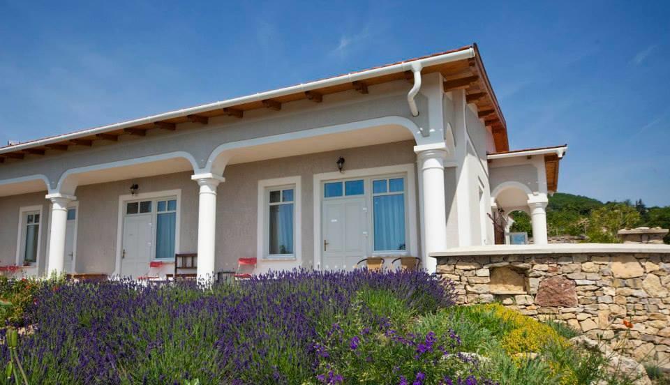 Koczor Winery & Guesthouse Balatonfüred Dış mekan fotoğraf
