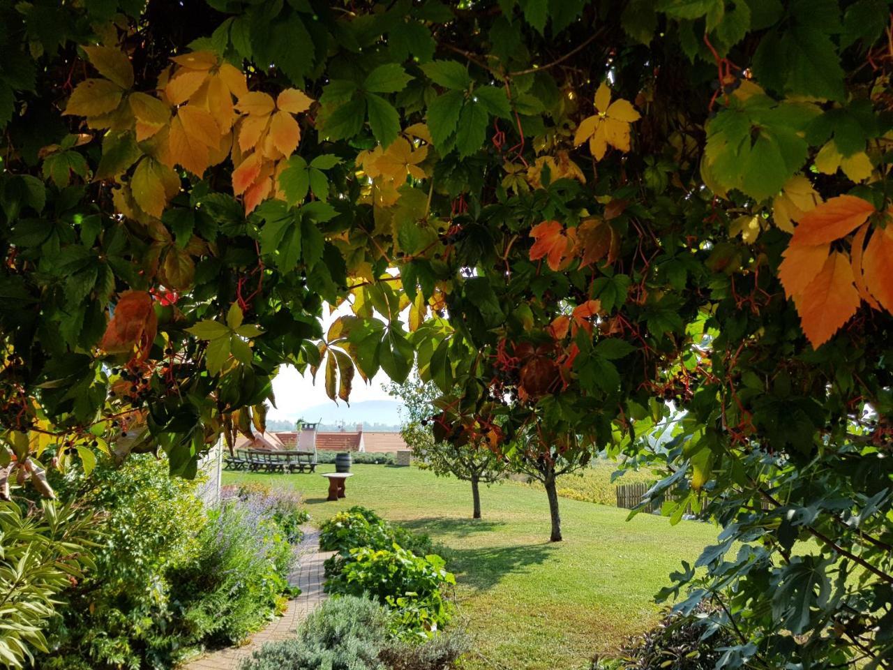 Koczor Winery & Guesthouse Balatonfüred Dış mekan fotoğraf
