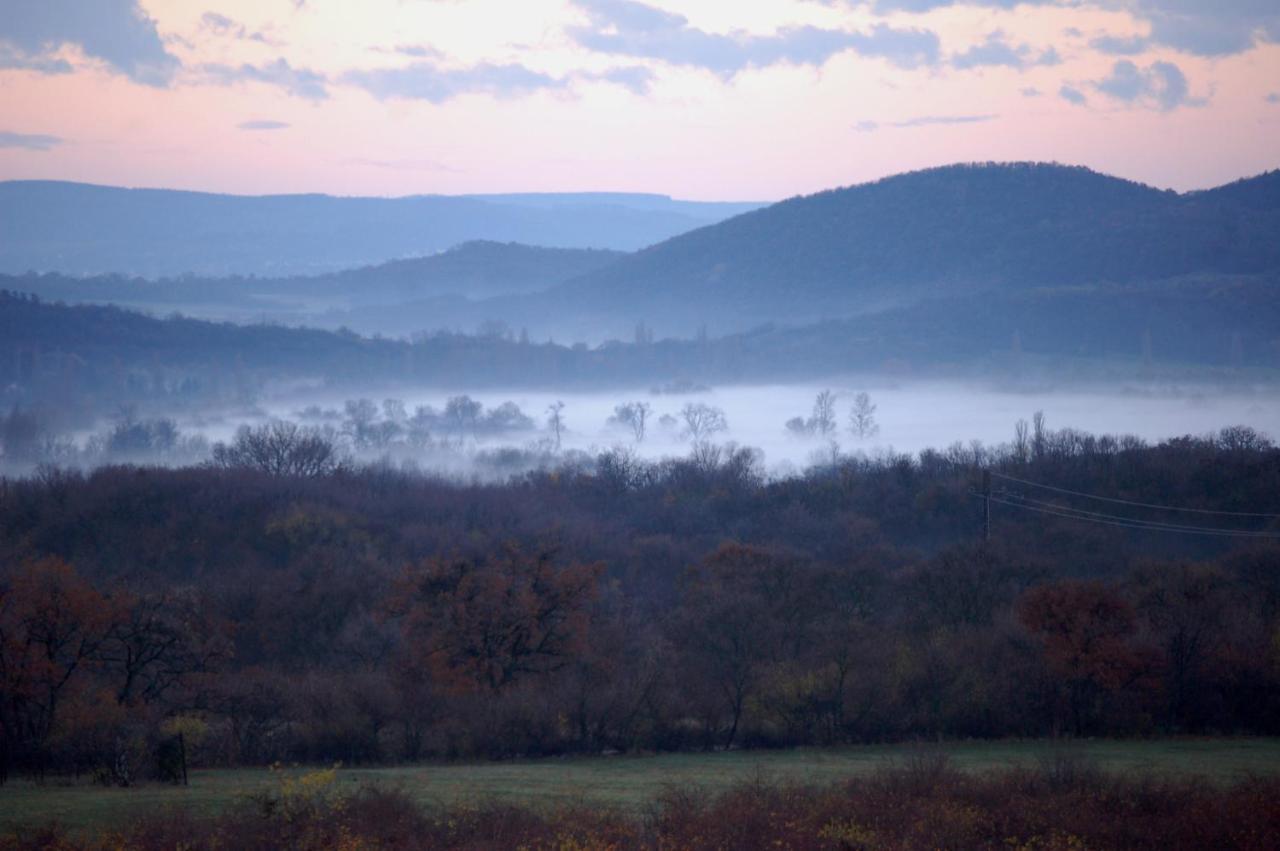 Koczor Winery & Guesthouse Balatonfüred Dış mekan fotoğraf