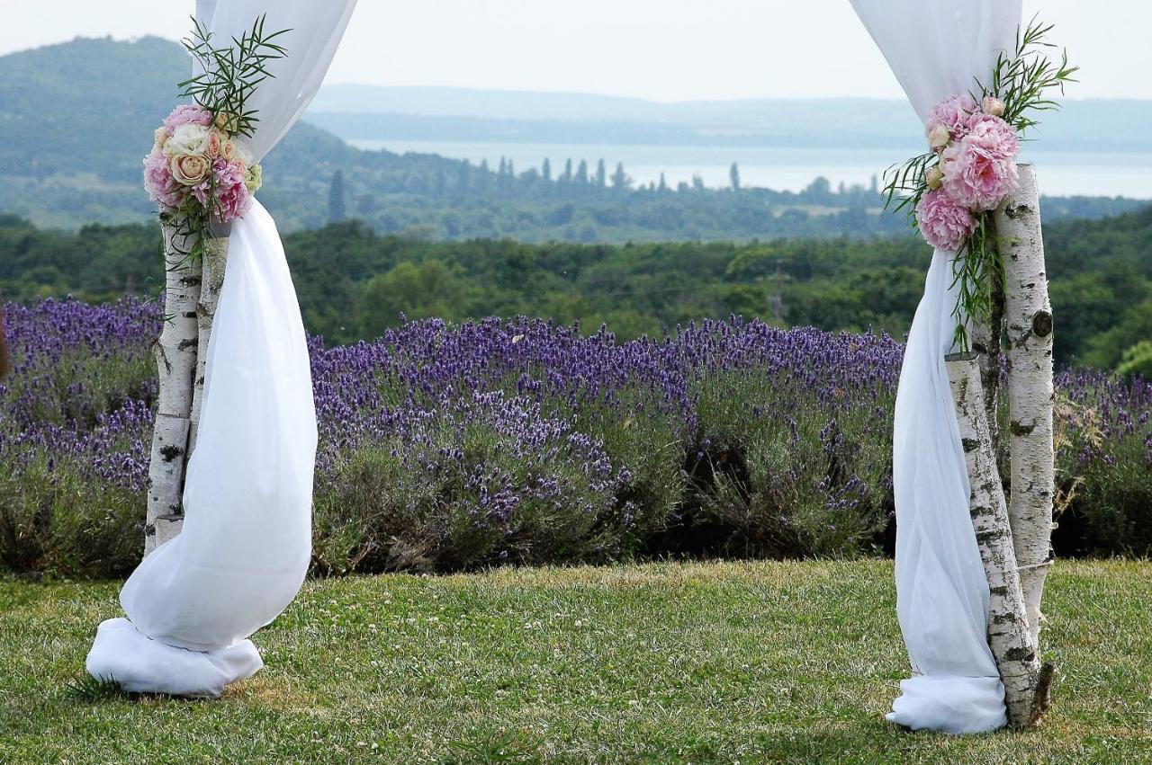 Koczor Winery & Guesthouse Balatonfüred Dış mekan fotoğraf