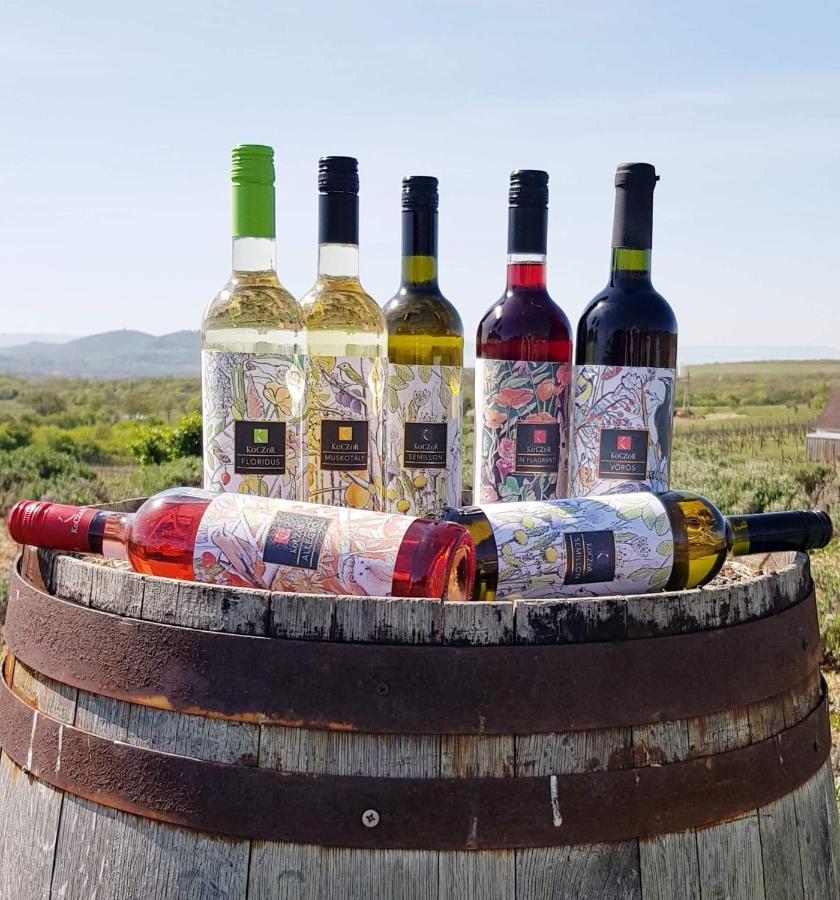 Koczor Winery & Guesthouse Balatonfüred Dış mekan fotoğraf