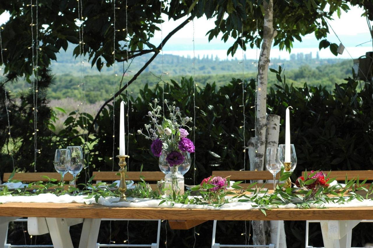 Koczor Winery & Guesthouse Balatonfüred Dış mekan fotoğraf
